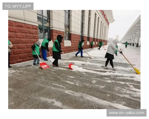 暴雪导致汉堡学校停课，德甲俱乐部动员志愿者清雪