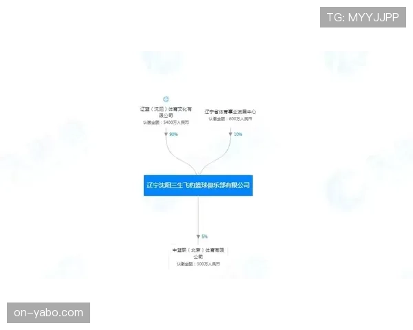 英超股东会议探讨“关联方交易”规则修订，以应对多俱乐部所有权模式